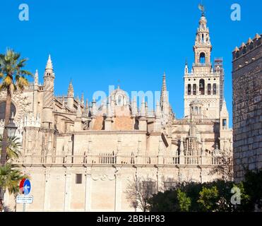 Seitlicher Teil der Kathedrale von Sevilla unter der Sonne. Heißer Wintertag in Sevilla, Spanien Stockfoto