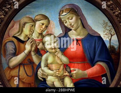Die Jungfrau und das Kind mit den Engeln, 1500-1510 PIERO DI COSIMO FLORENZ 1461-1521 Italienisch, Italien, Stockfoto