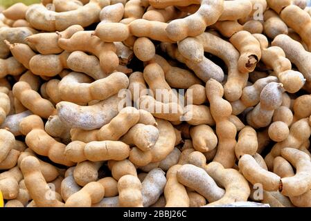 Haufen reif Tamarind Früchte, tropische leckere gesunde Früchte in Thailand Stockfoto