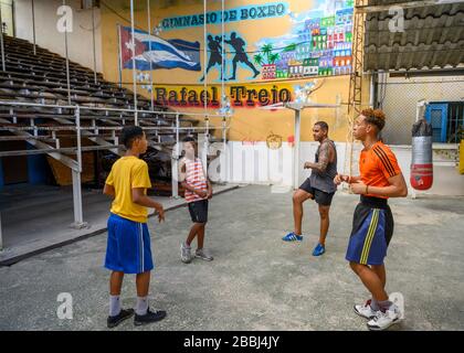 Rafael Trejo Boxing Club, Havanna Vieja, Kuba Stockfoto