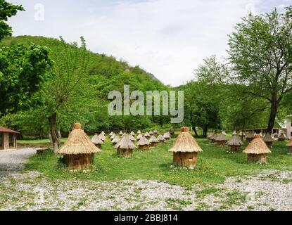 Reihen von Holzbeilchen, die mit Strohhalm bedeckt sind, stehen in einer grünen Lichtung. Frühling Stockfoto