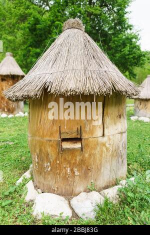 Holzbienenhive mit Strohhalm bedeckt. Wildhaufenhonig Stockfoto