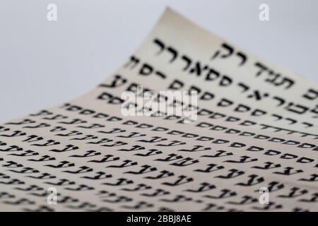 Studium der hebräischen Schrift - Stil der Tora-Schriftrolle, (Bibel) zufällige Buchstaben in Hebräisch auf Leder. (Herausgeber: Buchstaben haben keine Bedeutung und sind völlig Rand Stockfoto