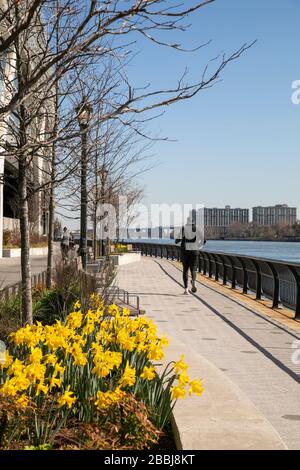 Die East River Esplanade, New York City. Stockfoto