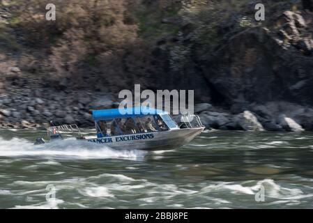 Jet Boat auf dem Snake River im Hells Canyon, Oregon/Idaho. Stockfoto