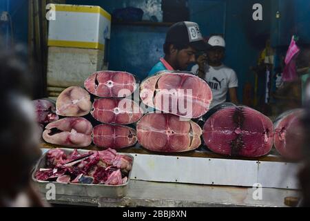 Nuwara Eliya, Sri Lanka - März 2017: Roher Thunfisch Steaks auf Fischmarkt-Stall. Anbieter von frischem Fisch und Meeresfrüchten. Fleischer schneidende Fische. Stockfoto