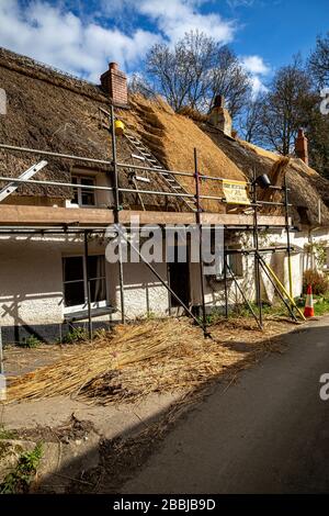 Bauindustrie,Bauindustrie, Baustelle, Gebäude - Aktivität, Bauarbeiter, Gerüste, gebaute Struktur, Bau F Stockfoto