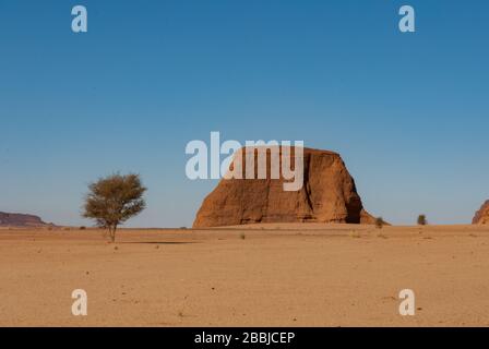 Natürliche Felsformationen und trockene Bäume, Tschad, Afrika Stockfoto