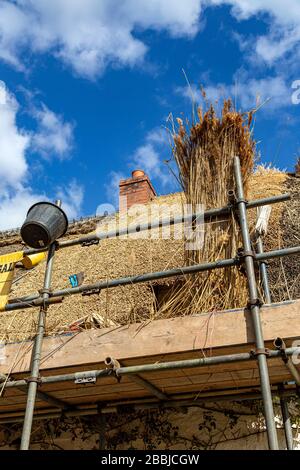 Bauindustrie, Bauindustrie, Baustelle, Gebäude - Aktivität, Bauarbeiter, Gerüste, gebaute Struktur, Bau Stockfoto