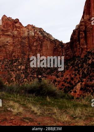 Der Zion National Park ist einer der spektakulärsten und beliebtesten Nationalparks der Vereinigten Staaten Stockfoto