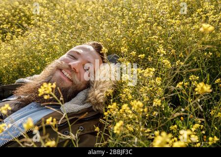 Lächelnder junger Mann mit einem Bart, der auf einem Feld gelber Blumen liegt. Freiheitskonzept. Stockfoto