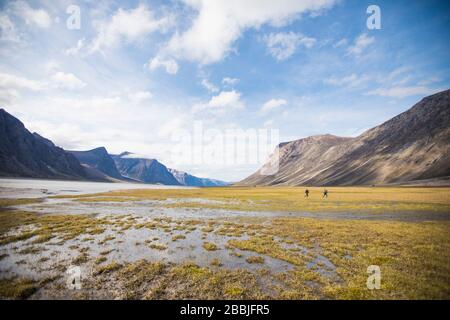 Zwei Backpacker überqueren die nasse Tundra im Akshayak Pass. Stockfoto