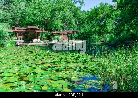 Alfred Caldwell Lily Pool im Lincoln Park Chicago, umgeben von Gras und Bäumen Stockfoto