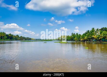 Schöner Blick auf die Rückwässer in Kerala, Indien, mit Vegetation und Kokospalmen an den Ufern und einem klaren blauen Himmel im Hintergrund. Stockfoto