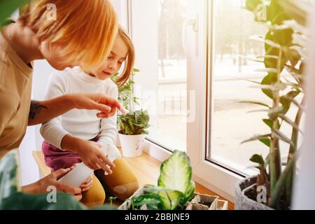 Kleine Mädchen auf der Sill sitzend, unterrichtet ihre Mutter sie über Sämlinge neben ihr Stockfoto