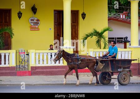 Pferdewagen, Vinales, Provinz Pinar del Rio, Kuba Stockfoto