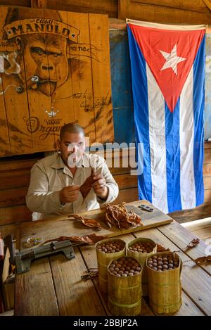 Tabakbauer raucht Zigarre auf der Farm Manolo, Vinales, Provinz Pinar del Rio, Kuba Stockfoto