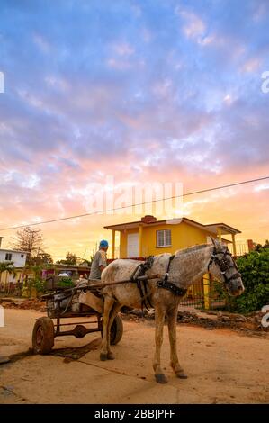 Pferdewagen bei Sonnenaufgang, Vinales, Provinz Pinar del Rio, Kuba Stockfoto