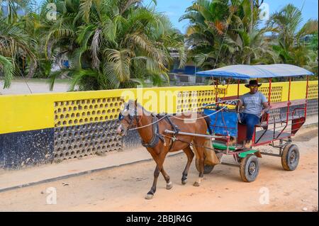 Pferdewagen, Vinales, Provinz Pinar del Rio, Kuba Stockfoto