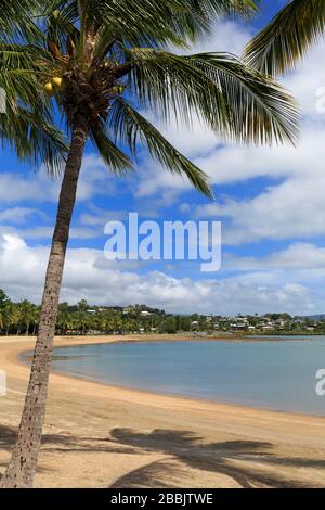 Airlie Beach, Queensland, Australien Stockfoto