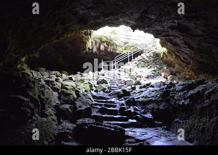 APE Cave Lavarohr, Gifford Pinchot National Forest, Washington State Stockfoto