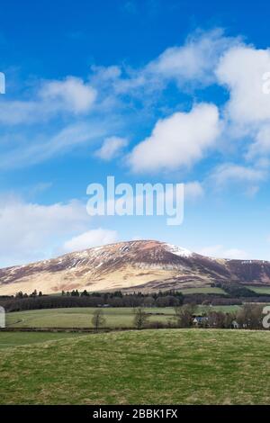 Tinto Hill im Spätwinter. South Lanarkshire, Scottish Borders, Schottland. Stockfoto