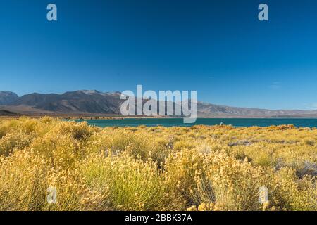 Mono-Becken-Herbstfarben. Herbst im Mono Lake Tufa State Natural Reserve, Kalifornien Stockfoto