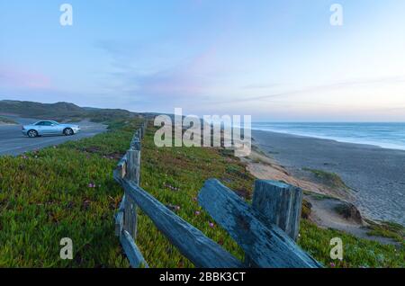 Chilenischen Meer Abb. (Carpobrotus sp.) entlang der Küste bei Point Reyes National Seashore, Kalifornien, USA, auf einem Frühlingsabend. Stockfoto