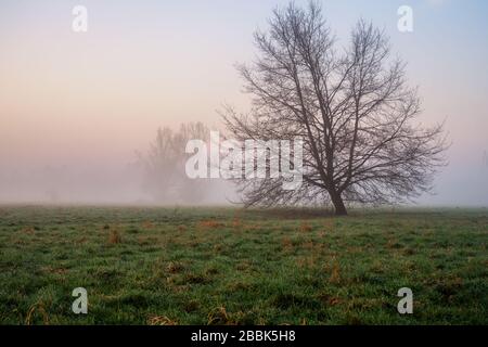 Sonnenaufgang über den Kahlgrundwiesen Stockfoto