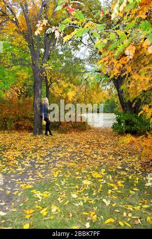 Schöne Frau lehnt sich im Herbstpark an Baum Stockfoto