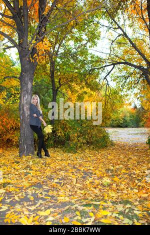 Schöne Frau lehnt sich im Herbstpark an Baum Stockfoto