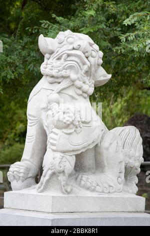 Chinesischer Garten der Freundschaft im Darling Harbour, Central Business District, Sydney, New South Wales, Australien Stockfoto