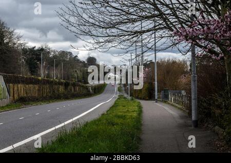 Belfast, Co Down/Nordirland - 31. März 2020 Lockdown in Castlereagh, Dual Carriageway ohne Verkehr während der laufenden Covid-19-Pandemie Stockfoto