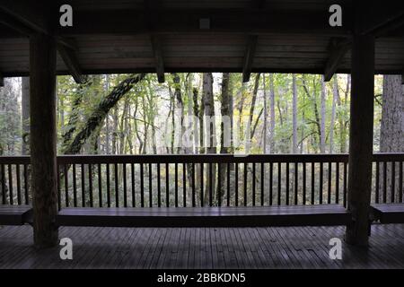 Blick vom Tierheim im Tryon Creek State Natural Area, Portland, Oregon, USA. Stockfoto