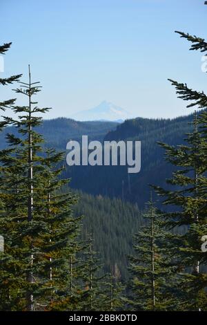 Blick entlang eines Tals und über mehrere Bergridgelines von Windy Ridge in Mt St Helens im Staat Washington bis Mt Hood in Oregon, USA. Stockfoto