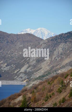 Mt Rainier gesehen im Oktober vom Windy Ridge Aussichtspunkt im Mt St Helens National Monument, Washington State, USA. Stockfoto