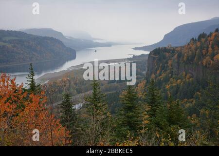 Die Oregon-Seite der Columbia River Gorge, USA, gesehen im Herbst vom Portland Women’s Forum State Scenic Viewpoint am Chanticleer Point. Stockfoto