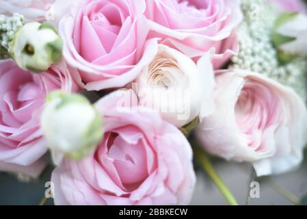 Rosa Rosen Hintergrund. Unscharfe Rosenblätter, abstrakter romantischer Hintergrund, Pastell- und weiche Blumenkarte. Hochzeitskarte, Valentinstag, klassische Brautmode Stockfoto