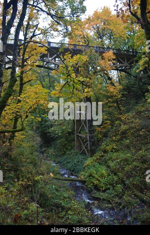 Historische Straßenbrücke und Blick auf den Herbst vom Latourell Falls Trail, Columbia River Gorge, Oregon, USA Stockfoto