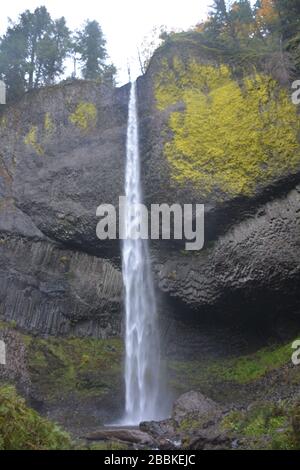 Herbstansicht vom Latourell Falls Trail, Columbia River Gorge, Oregon, USA Stockfoto