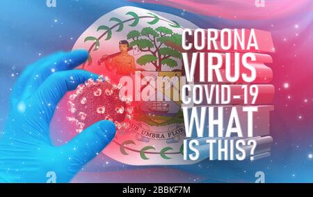 Coronavirus COVID-19, häufig gestellte Frage - was ist es Text, medizinisches Konzept mit Flagge von Belize. Pandemische 3D-Darstellung. Stockfoto
