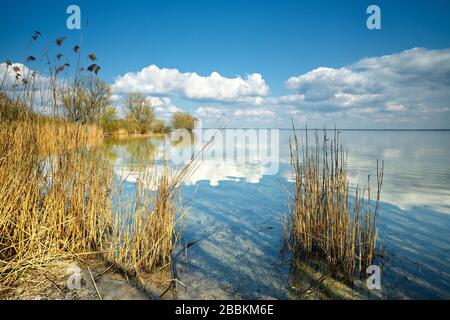 Unberührte Natur am Ufer der Mueritz, Wolken im Wasser, Mecklenburg-Vorpommern, Deutschland Stockfoto