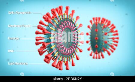 Beschriftetes Diagramm der COVID-19-Zellstruktur mit Spike-Glykoprotein, Membranprotein, Umschlag und RNA. 3D-Abbildung: Schaltplan des Coronavirus. Stockfoto