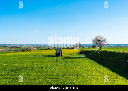 Februar 2020 - Belianes-Preixana, Spanien. Ein Traktor sprüht ein unbekanntes Produkt auf Getreide in einem grünen Feld auf den Ebenen von Belianes-Preixana. Stockfoto