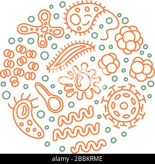 Bakterien und Viren im Kreis, Mikroorganismen, die krankheitsauslösende Objekte sind. Verschiedene Arten, Bakterien, Viren, Coronavirus, Infusorium, Streptokokken Stock Vektor