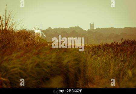 Cley Windmühle aus der Ferne, über Felder von Weizenpflanzen im Spätsommer. Cley, Norfolk, England Stockfoto