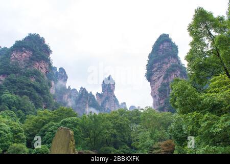 Wunderschöner Blick auf die natürliche Säule aus Quarzsandstein im Zhangjiajie National Forest Park im Wulingyuan Hunan China. Stockfoto