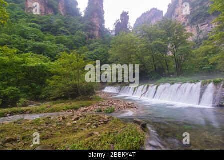 Wasserfall im goldenen Peitsche Stream in Zhangjiajie National Forest Park, Hunan, China. Stockfoto