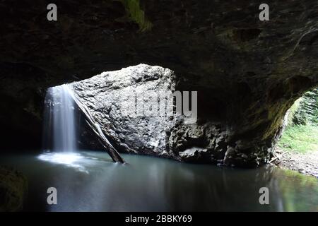 Natural Bridge, Springbrook National Park, Australien-QLD Stockfoto