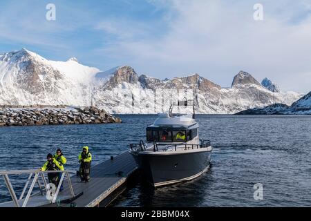 Sargo 36 moored at Mefjord Brygge, Mefjordvaer, Senja, Norwegen. Stockfoto